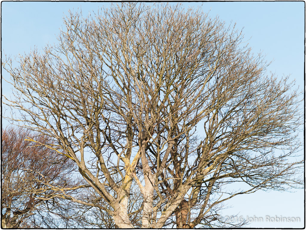 First day of Winter 2016