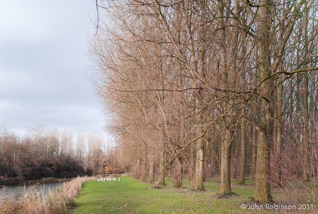 Early Winter, Flanders